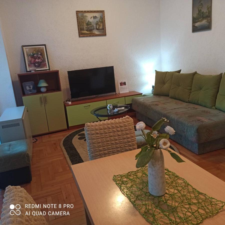 Apartman Radicevic Vrnjačka Banja Buitenkant foto